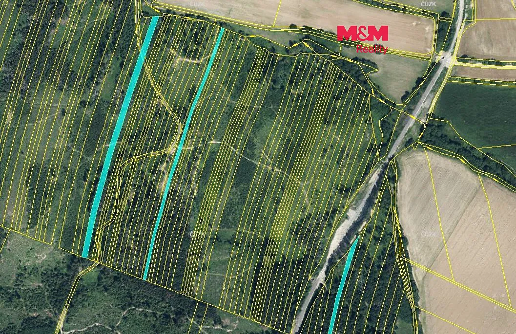 Prodej lesa 28654 m²